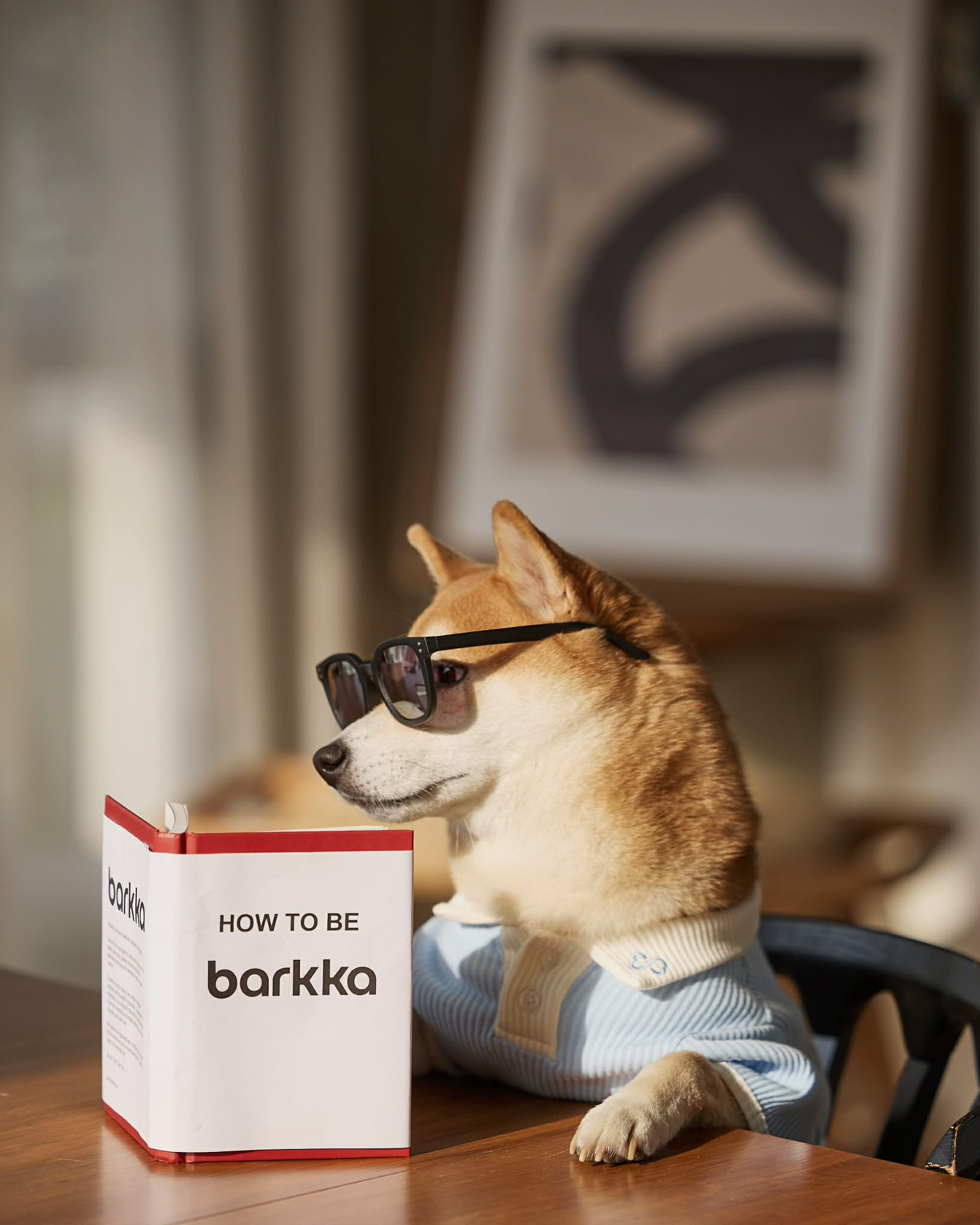 About Barkka